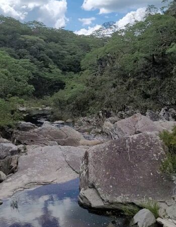 Cachoeira do bené