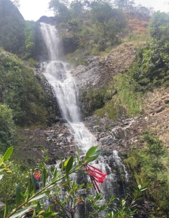 Cachoeira Da Farofa