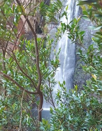 Cachoeira Véu da Noiva